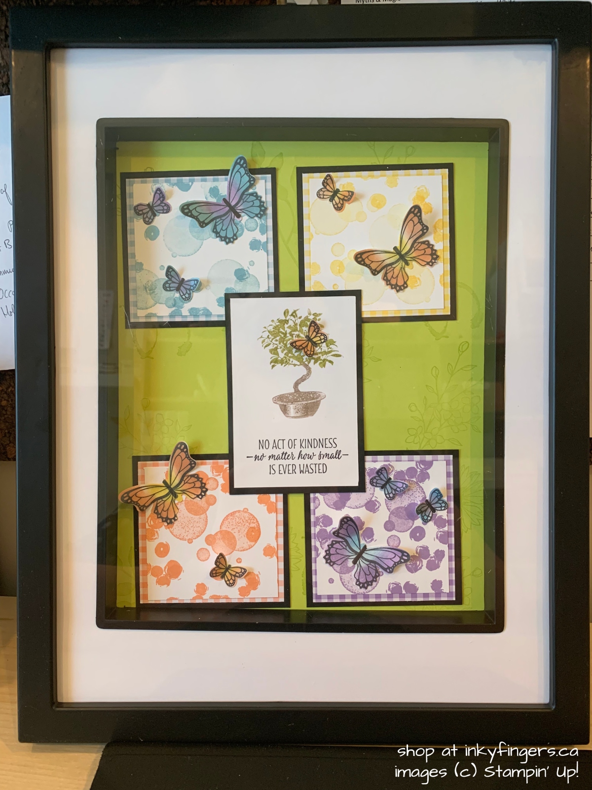 Butterfly Framed Project